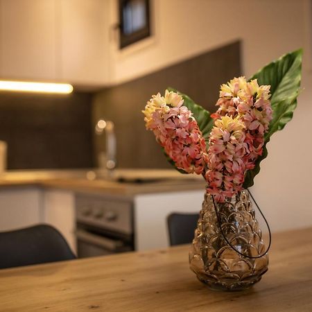Vista Durmitor - Luxury Cabin Žabljak エクステリア 写真
