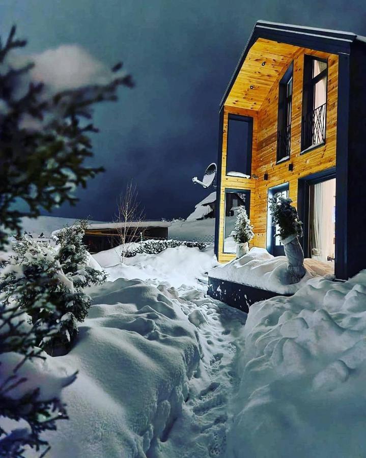 Vista Durmitor - Luxury Cabin Žabljak エクステリア 写真